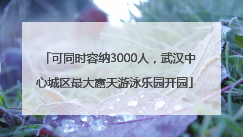 可同时容纳3000人，武汉中心城区最大露天游泳乐园开园