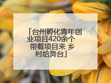 台州孵化青年创业项目420余个 带着项目来 乡村给舞台