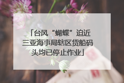 台风“蝴蝶”迫近 三亚海事局辖区货船码头均已停止作业