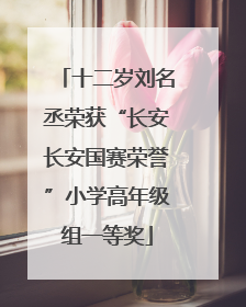 十二岁刘名丞荣获“长安长安国赛荣誉”小学高年级组一等奖