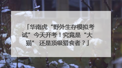 华南虎“野外生存模拟考试”今天开考！究竟是“大猫” 还是顶级猎食者？