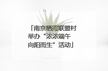 南京栖霞联盟村举办“浓浓端午 向阳而生”活动