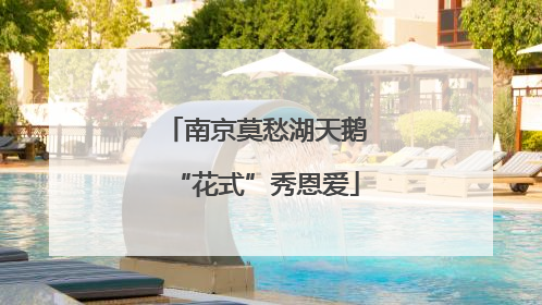 南京莫愁湖天鹅“花式”秀恩爱
