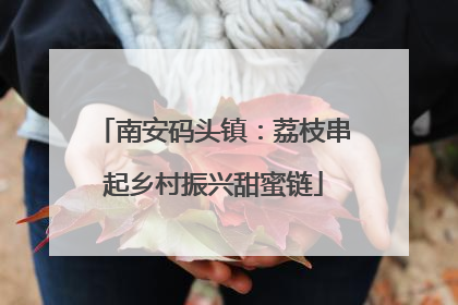 南安码头镇：荔枝串起乡村振兴甜蜜链
