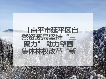 南平市延平区自然资源局坚持“三聚力” 助力擎画集体林权改革“新图景”