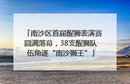 南沙区首届醒狮表演赛圆满落幕，38支醒狮队伍角逐“南沙狮王”