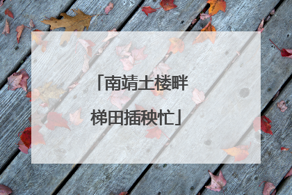 南靖土楼畔 梯田插秧忙