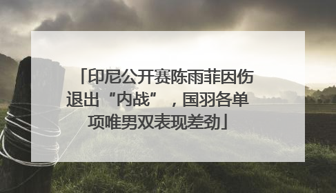印尼公开赛陈雨菲因伤退出“内战”，国羽各单项唯男双表现差劲