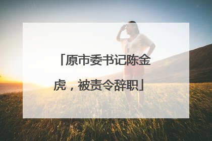 原市委书记陈金虎，被责令辞职