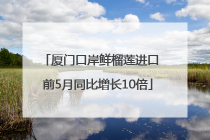 厦门口岸鲜榴莲进口 前5月同比增长10倍