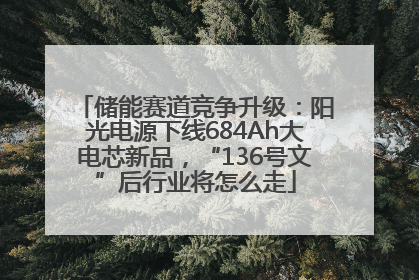 储能赛道竞争升级：阳光电源下线684Ah大电芯新品，“136号文”后行业将怎么走