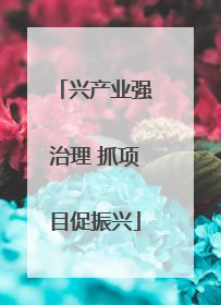 兴产业强治理 抓项目促振兴