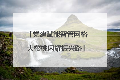 党建赋能智管网格 大樱桃闪耀振兴路