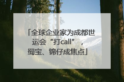 全球企业家为成都世运会“打call”，蜀宝、锦仔成焦点