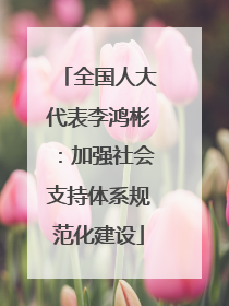 全国人大代表李鸿彬：加强社会支持体系规范化建设