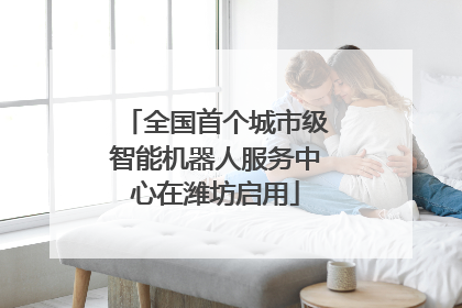 全国首个城市级智能机器人服务中心在潍坊启用
