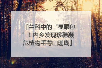 兰科中的“显眼包”！内乡发现珍稀濒危植物毛萼山珊瑚
