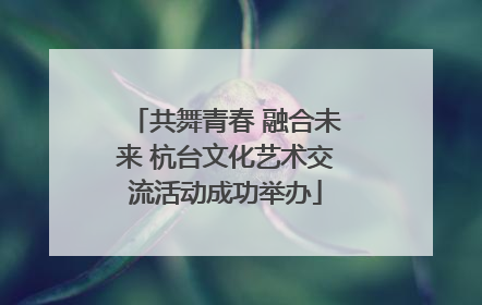 共舞青春 融合未来 杭台文化艺术交流活动成功举办