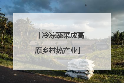 冷凉蔬菜成高原乡村热产业