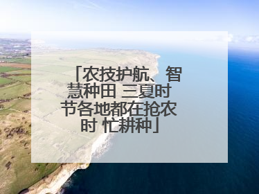 农技护航、智慧种田 三夏时节各地都在抢农时 忙耕种