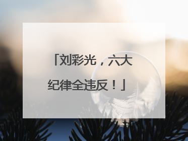 刘彩光，六大纪律全违反！