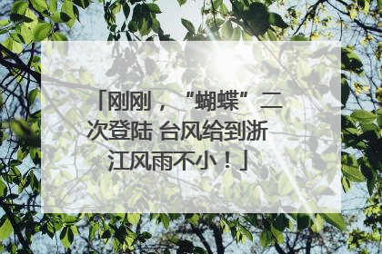 刚刚，“蝴蝶”二次登陆 台风给到浙江风雨不小！