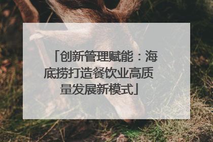 创新管理赋能：海底捞打造餐饮业高质量发展新模式