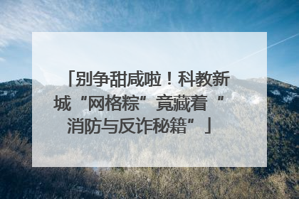 别争甜咸啦！科教新城“网格粽”竟藏着“消防与反诈秘籍”