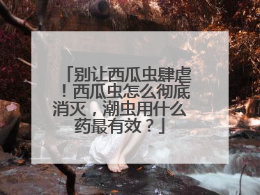 别让西瓜虫肆虐！西瓜虫怎么彻底消灭，潮虫用什么药最有效？