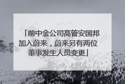 前中金公司高管安国邦加入蔚来，蔚来另有两位董事发生人员变更
