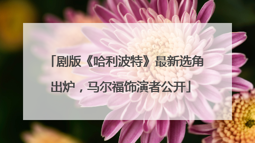 剧版《哈利波特》最新选角出炉，马尔福饰演者公开