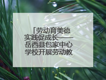 劳动育美德 实践促成长——岳西县包家中心学校开展劳动教育实践活动