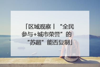 区域观察丨“全民参与+城市荣誉”的“苏超”能否复制