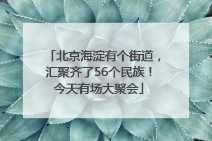 北京海淀有个街道，汇聚齐了56个民族！今天有场大聚会