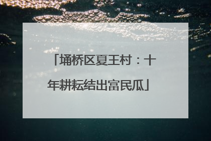 埇桥区夏王村：十年耕耘结出富民瓜