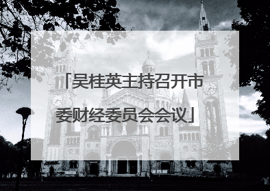 吴桂英主持召开市委财经委员会会议