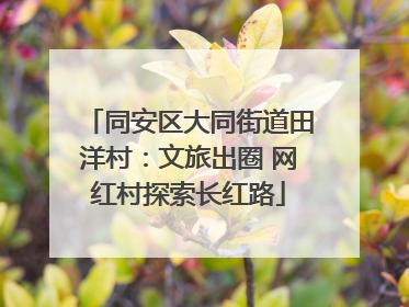 同安区大同街道田洋村：文旅出圈 网红村探索长红路