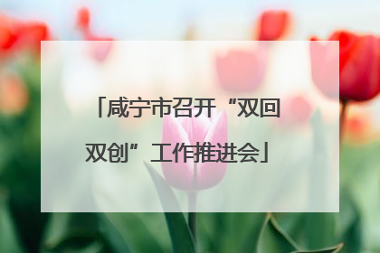 咸宁市召开“双回双创”工作推进会