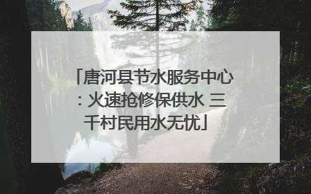 唐河县节水服务中心：火速抢修保供水 三千村民用水无忧
