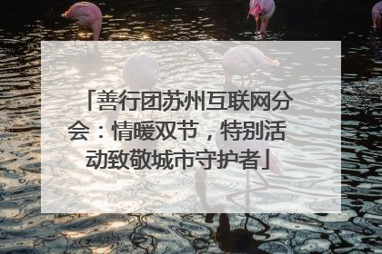 善行团苏州互联网分会：情暖双节，特别活动致敬城市守护者