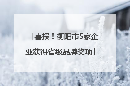 喜报！衡阳市5家企业获得省级品牌奖项