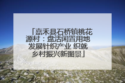 嘉禾县石桥镇桃花源村：盘活闲置用地发展针织产业 织就乡村振兴新图景