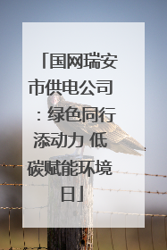 国网瑞安市供电公司：绿色同行添动力 低碳赋能环境日