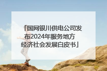 国网银川供电公司发布2024年服务地方经济社会发展白皮书