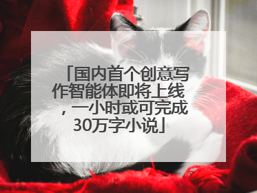 国内首个创意写作智能体即将上线，一小时或可完成30万字小说