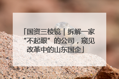 国资三棱镜｜拆解一家“不起眼”的公司，窥见改革中的山东国企