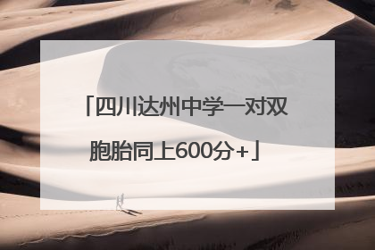 四川达州中学一对双胞胎同上600分+