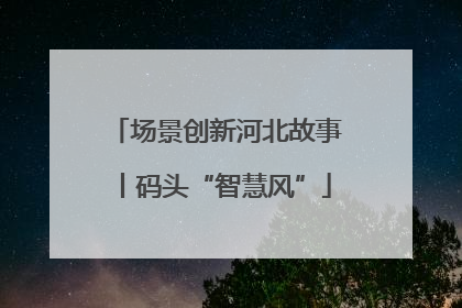 场景创新河北故事丨码头“智慧风”