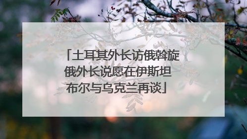 土耳其外长访俄斡旋 俄外长说愿在伊斯坦布尔与乌克兰再谈