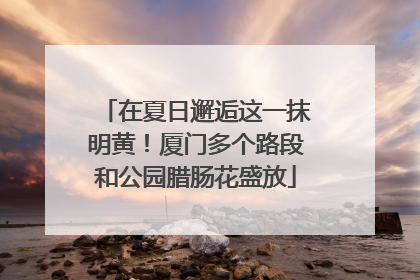在夏日邂逅这一抹明黄！厦门多个路段和公园腊肠花盛放